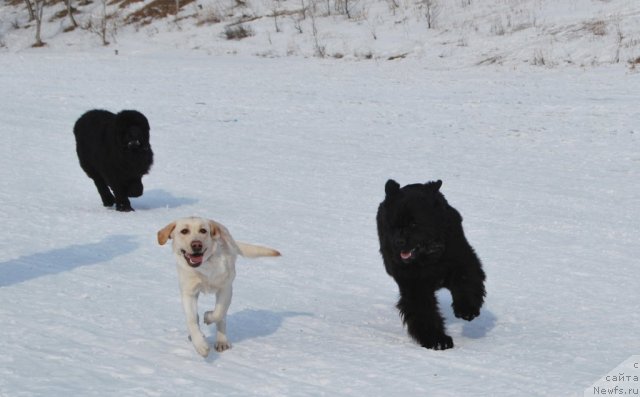 Фотография № 88659