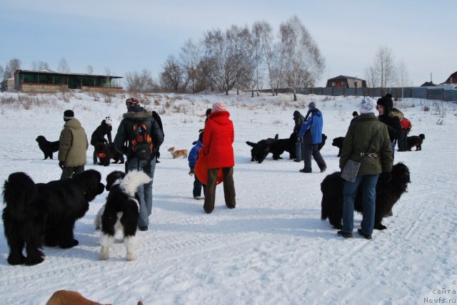 Фотография № 88660