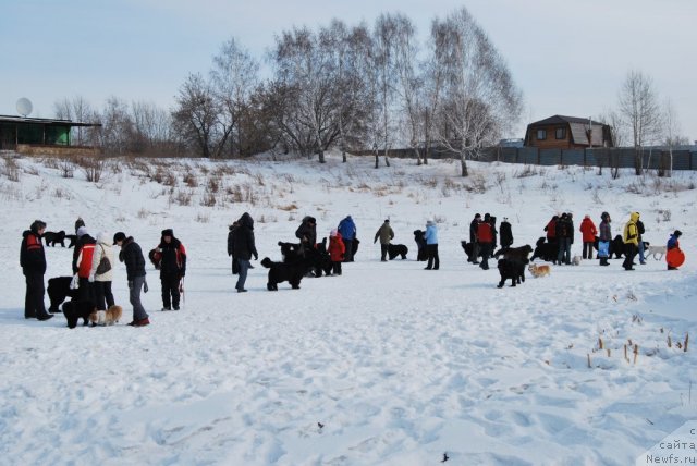 Фотография № 88664