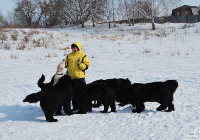 Фотография № 88670