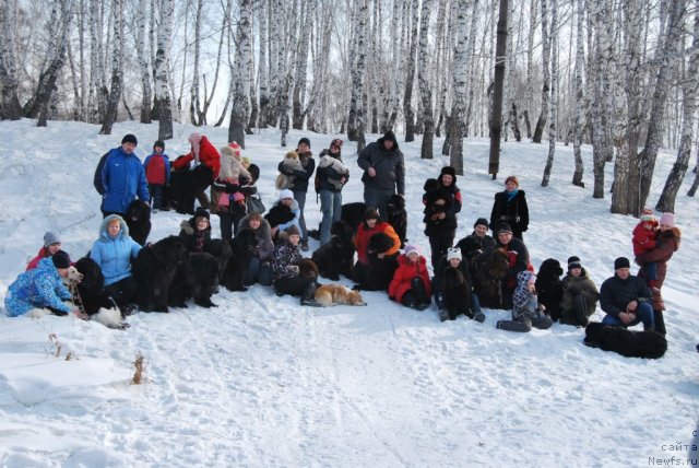 Фотография № 88672