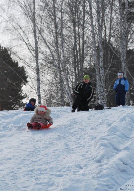 Фотография № 88676