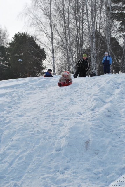 Фотография № 88677