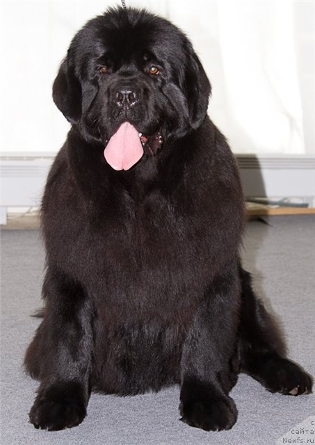 Фотография № 88699