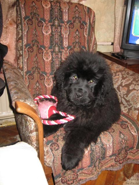 Фотография № 8870