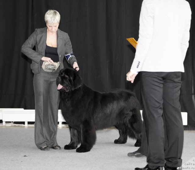 Фотография № 88703