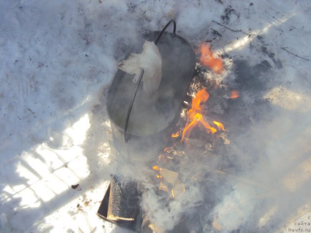 Фотография № 88721