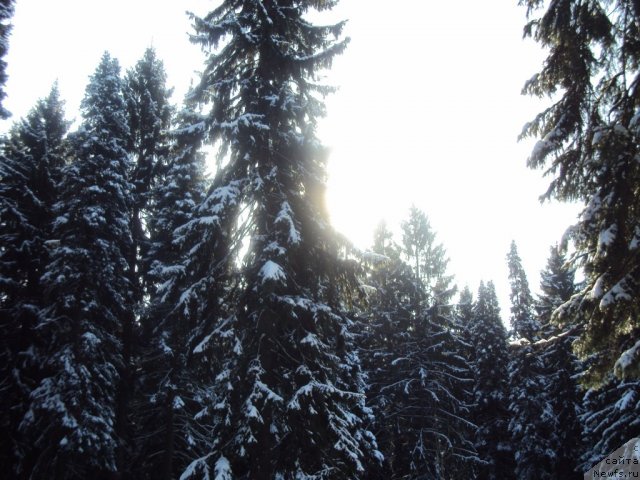 Фотография № 88727