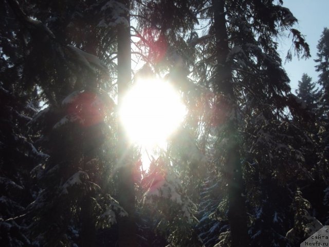 Фотография № 88728