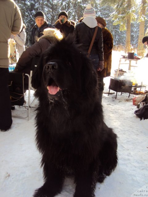 Фотография № 88729