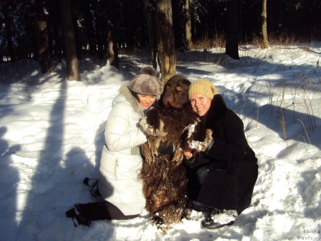 Фотография № 88732