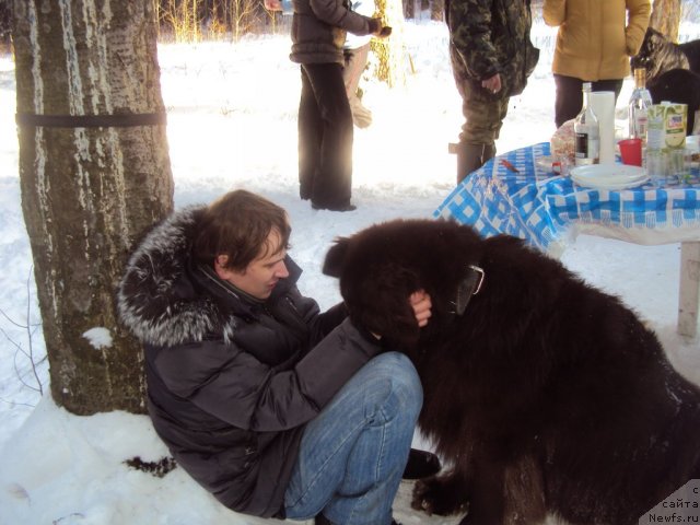 Фотография № 88734