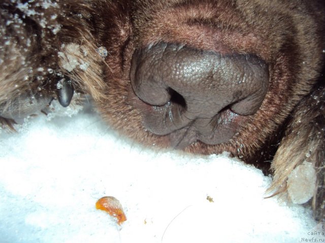 Фотография № 88741