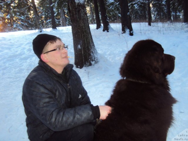 Фотография № 88742