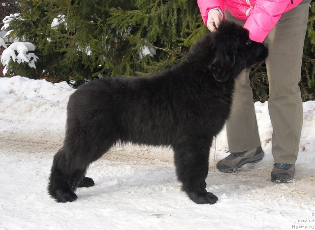 Фотография № 88758