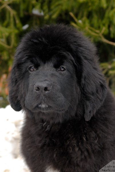 Фотография № 88762