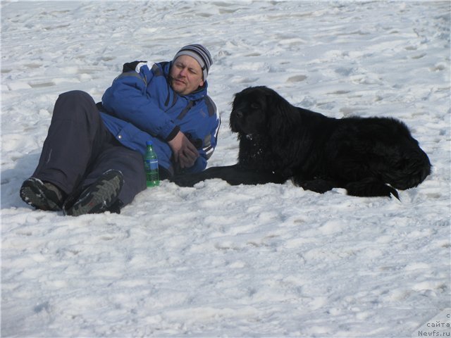 Фотография № 88823