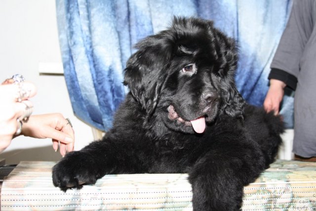 Фотография № 88870