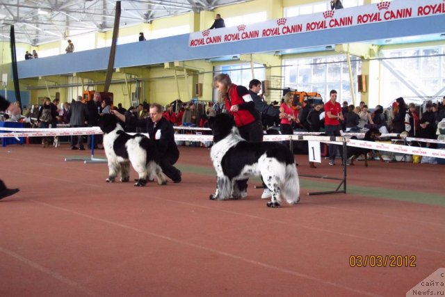 Фотография № 88885