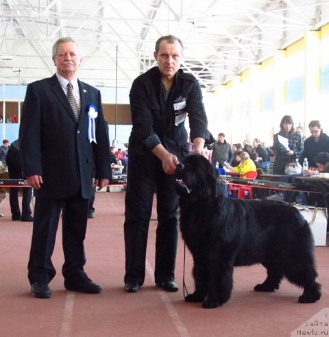 Фотография № 88906