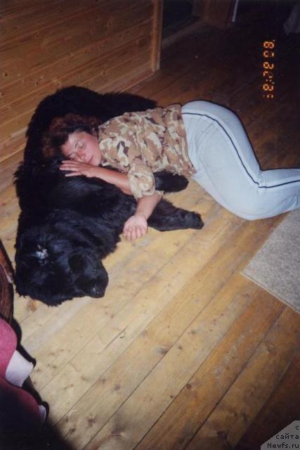 Фотография № 8895