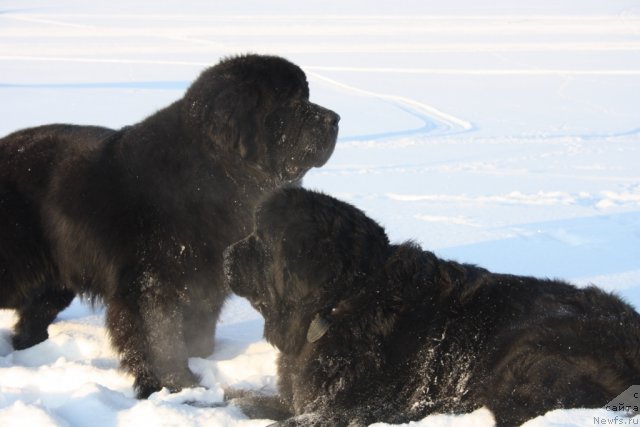 Фотография № 88959