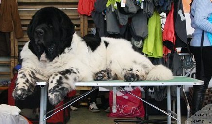 Фотография № 88960