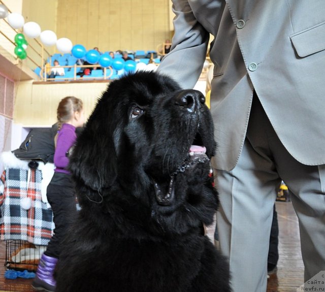 Фотография № 89120