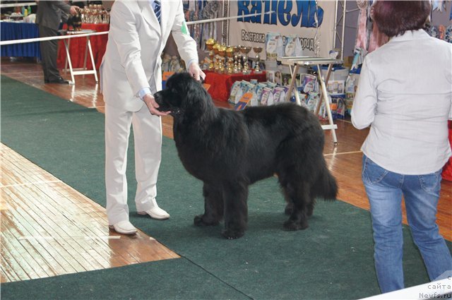 Фотография № 89122