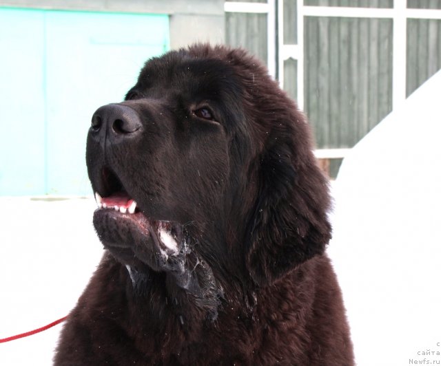 Фотография № 89132