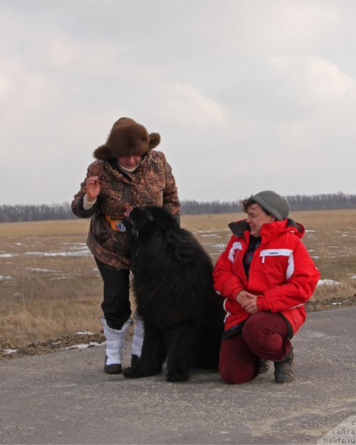 Фото: Liliana Rahmatova (Лилиана Рахматова), ньюфаундленд Matvey s Berega Dona (Матвей с Берега Дона)