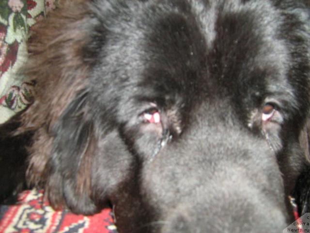 Фотография № 8917