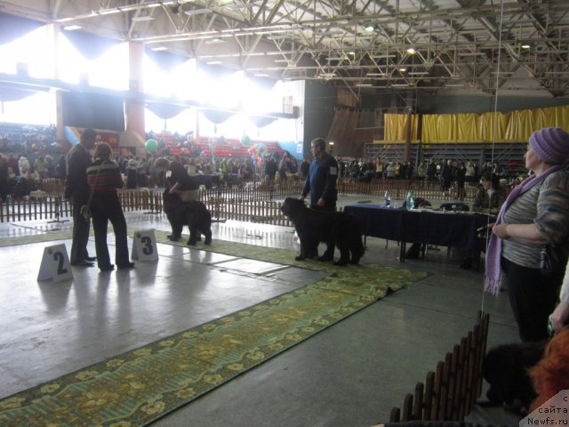 Фотография № 89198