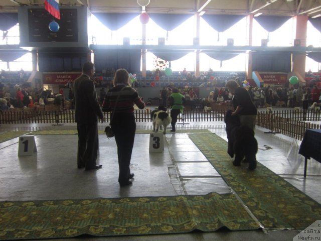 Фотография № 89199