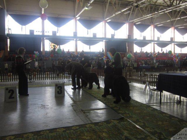 Фотография № 89201