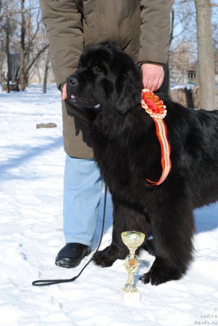 Фотография № 89211