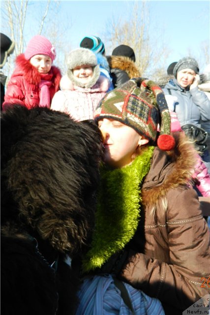 Фото: ньюфаундленд Kiper Soul Layon Hyeert (Кипер Соул Лайон Хэерт)