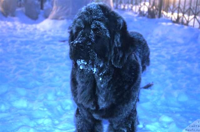 Фотография № 89251