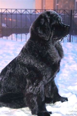 Фотография № 89252