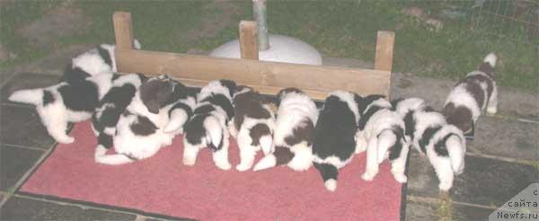 Фотография № 8926