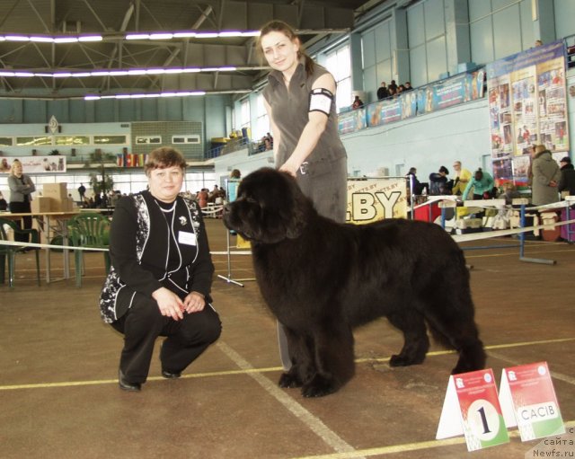 Фото: Viktor Hrischanovich (Виктор Хрищанович), Natal'ya Dubovskaya (Наталья Дубовская)