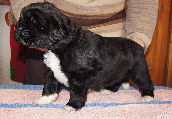 Фотография № 89356