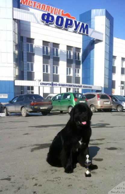 Фотография № 89372