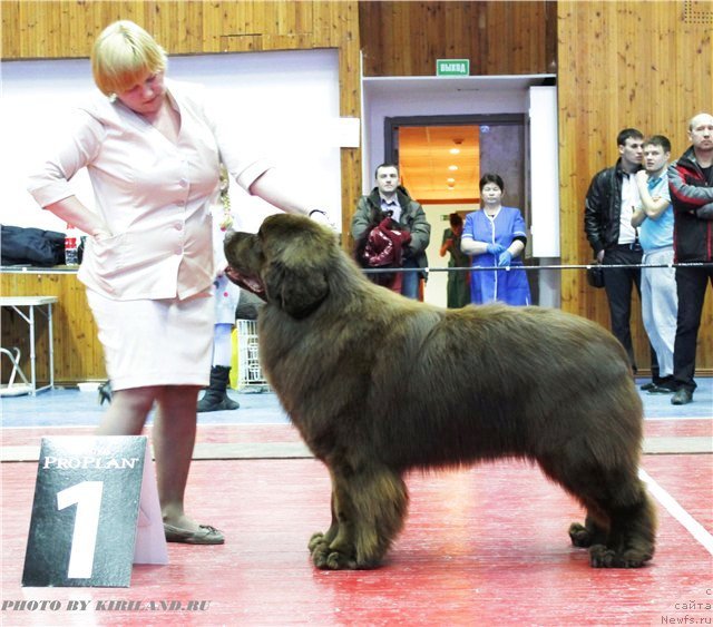 Фотография № 89394