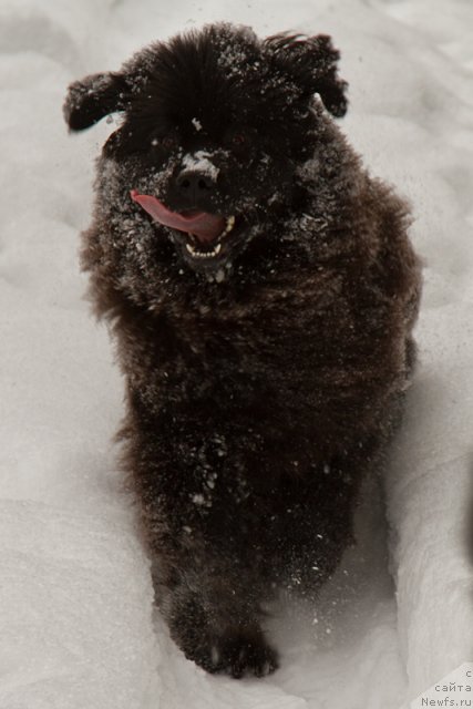 Фотография № 89396