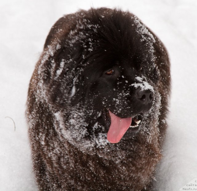 Фотография № 89397