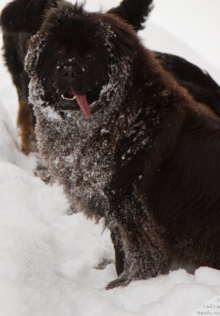 Фотография № 89398