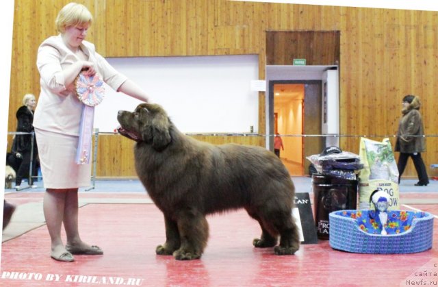 Фотография № 89401