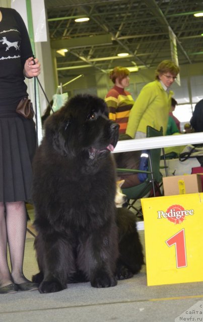 Фотография № 89413