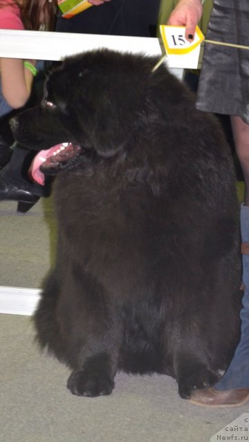 Фотография № 89414